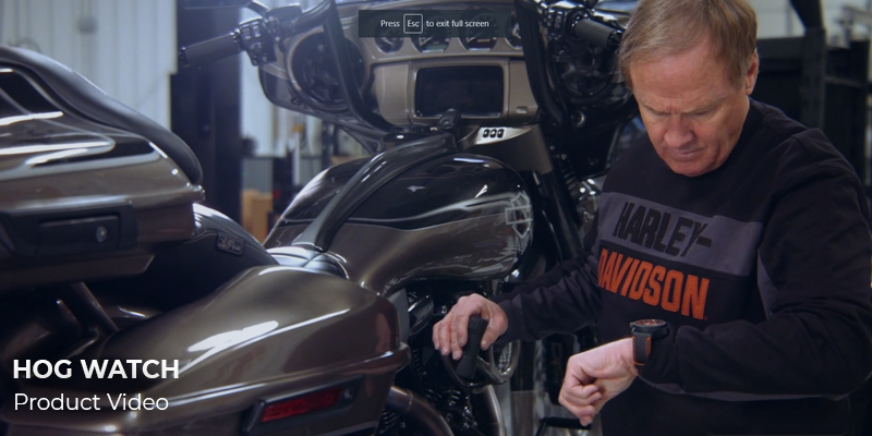 Hog Watch Analog for Harley Davidson
